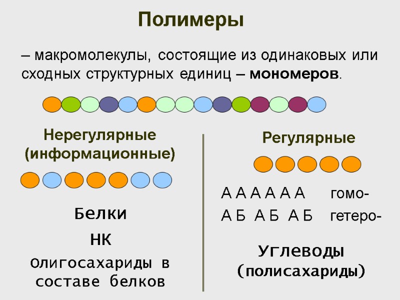 Полимеры – макромолекулы, состоящие из одинаковых или сходных структурных единиц – мономеров.  Регулярные